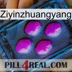 Ziyinzhuangyang 04